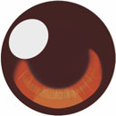 瞳の色:1