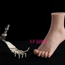 足指の関節:足指の関節