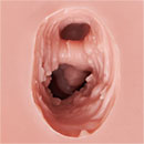 機能追加:膣の柔らか仕上げ