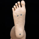 スタンディング機能:あり