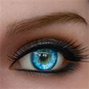 眉毛と睫の植毛:あり