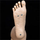 スタンディング機能:あり