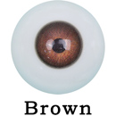 瞳の色:ブラウン
