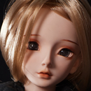 追加ヘッド:Miyabi
