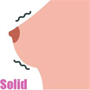 乳房タイプ:固体タイプ