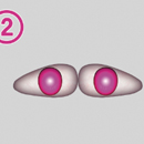 瞳の色:2
