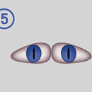 瞳の色:5
