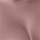 肌の色:ブラウン