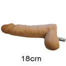ペニス:18cm