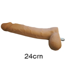 ペニス:24cm