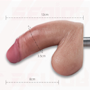 ペニスの長さ:8cm