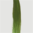 髪の毛の植毛:あり#14