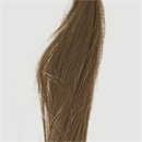 髪の毛の植毛:あり#5