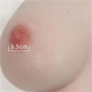 乳輪のサイズ:3.5cm