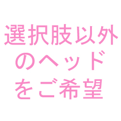 頭部オプション:選択肢以外のヘッドをご希望