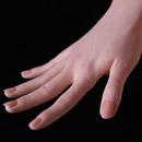 球型関節手の骨格:新しい球型関節手の骨格