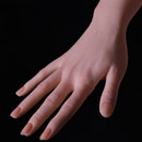 球型関節手の骨格:球型関節手の骨格