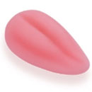 舌機能:取外し型の舌①