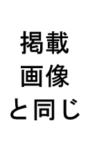 ウィッグ:写真と同じ