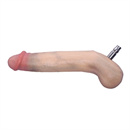 ペニスの長さ:19cm