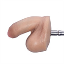 ペニスの長さ:9cm