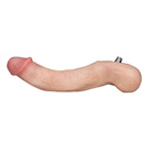 ペニス:柔らかいペニス