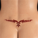 タトゥー:Lower Back No.1