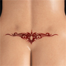 タトゥー:Lower Back No.2
