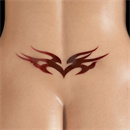 タトゥー:Lower Back No.4