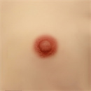 乳輪のサイズ:2cm