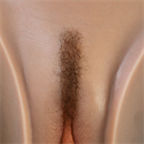 陰毛:#1