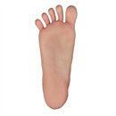 スタンディング機能:あり(ボルト露出なし)