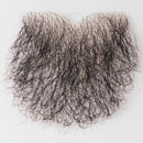 陰毛(貼り毛):#1