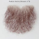 陰毛(貼り毛):#7
