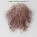 陰毛(貼り毛):#8