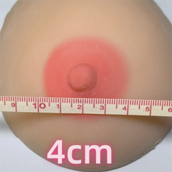 乳輪のサイズ:4cm