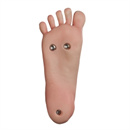 スタンディング機能:あり