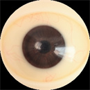 瞳の色: #10ブラウン-毛細管付き