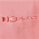 アナルタイプ:1