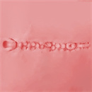 アナルタイプ:2