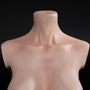 機能追加:トルソースタンド