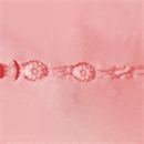 オナホタイプ:2