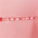 オナホタイプ:3