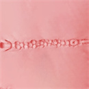 オナホタイプ:4