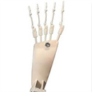 機能追加:足の指関節