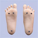 スタンディング機能:あり