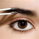 眉毛のタイプ:眉毛植毛