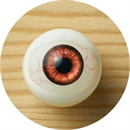 瞳の色:#1-毛細管付き