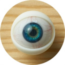 瞳の色:#11-毛細管付き