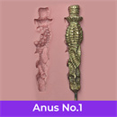 アナル構造:#1